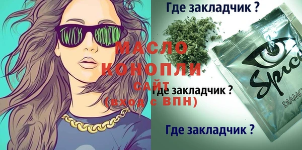 хмурый Новозыбков