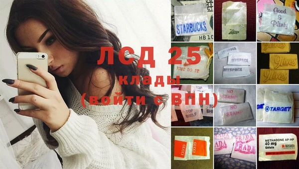 хмурый Новозыбков
