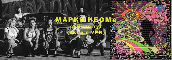 хмурый Новозыбков