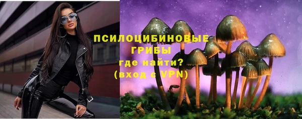 хмурый Новозыбков