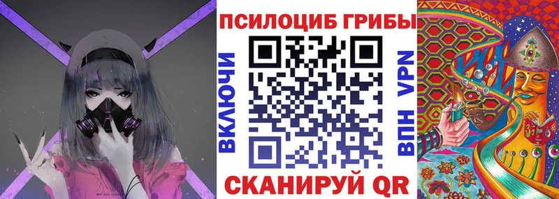 купить цена Кологрив Галлюциногенные грибы ЛСД